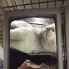 HOLA