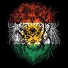 kurdishlion160