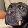 annaliese_2004