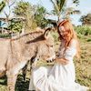 redgingerflower