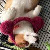 phyncutehotme
