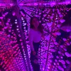 elizamfirovaa