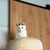 hello.kitty505