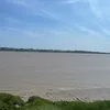 mohuya__