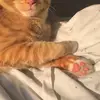 tiredassbitch69