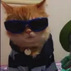 rodentouille