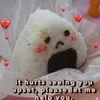simsmime