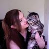 loricats