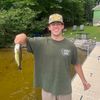 josh.gribbin