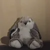 kaninboii
