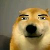 rom_n_r