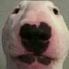 logeybear69