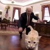 catlovver1_w23