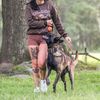 virus.the.malinois