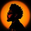 xo_fan_1