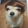 bihahhdog
