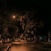 egoy8902