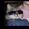 kittyk2003