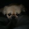 h_nguyenphuoc22