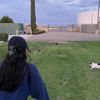 nollieshuvsarchive