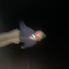 bugjuice.27