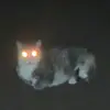 gadbuycracker