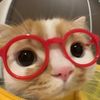meowmaewmao