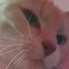 mikinwe