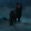 untamed.77