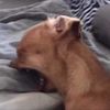 charliebrownuser1
