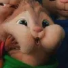 plnofuz