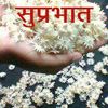 bhatia22