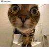 camilo_16161