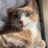 meowiexoxo