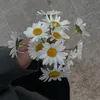 ilayda.tsi