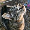 hello_kitty0912140