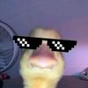 mikehawk183