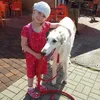 jenvka_