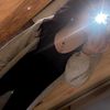 _kyra.thompson