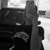 dania.elsaghir