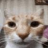 username4289_