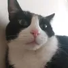 ruti_kinael_14