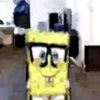 moltomami