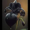 solyanim_52