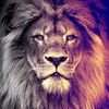 forever_lions100