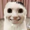 lenaborba_