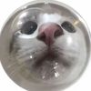 luxci333