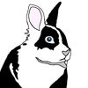 bmzbunnies