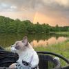 trailingwithaspen