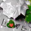 lei__0806